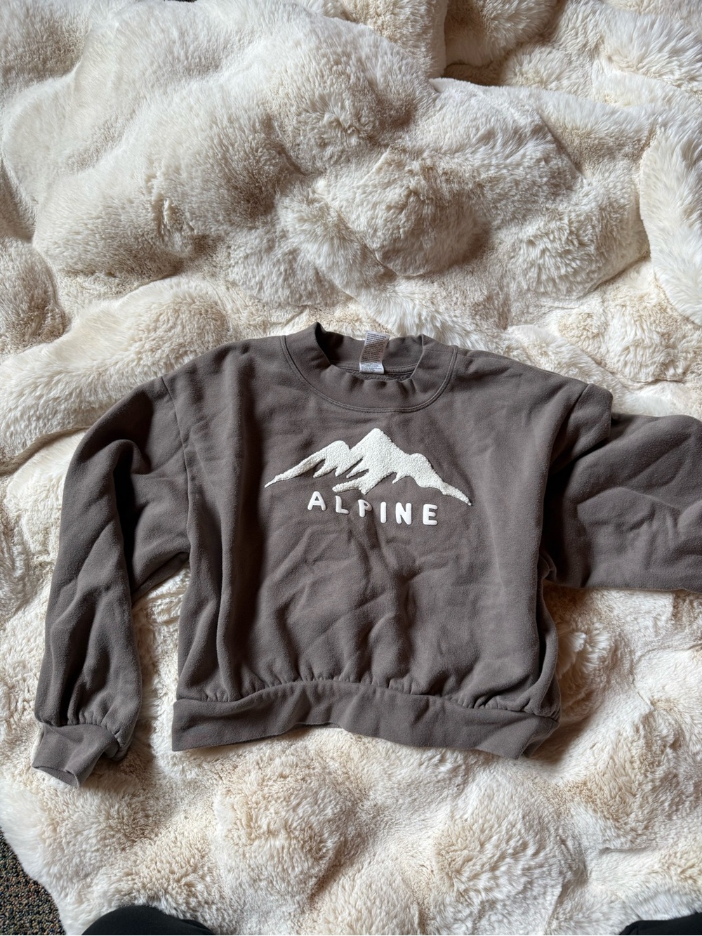 all in motion Taupe Crewneck Sweatshirt with White Alpine Graphic
